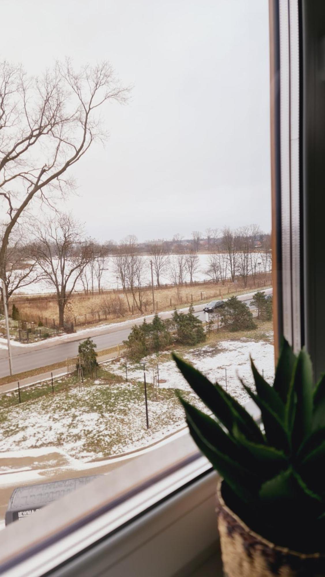 Apartament 31 Z Sauna Rowery, Spacery W Dolinie Baryczy - 5D Apartamenty 米利奇 外观 照片
